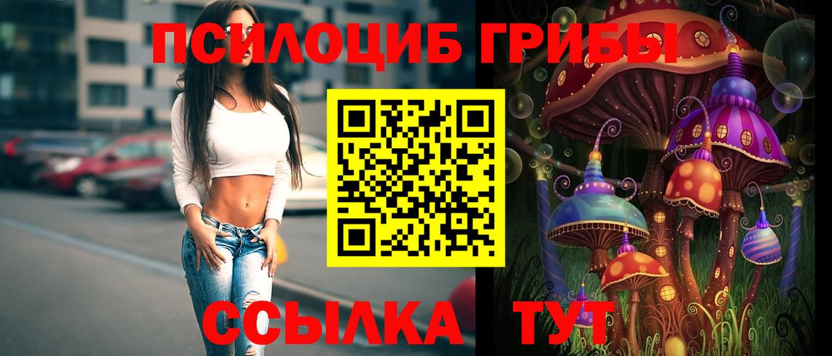 Псилоцибиновые грибы Psilocybe Сальск